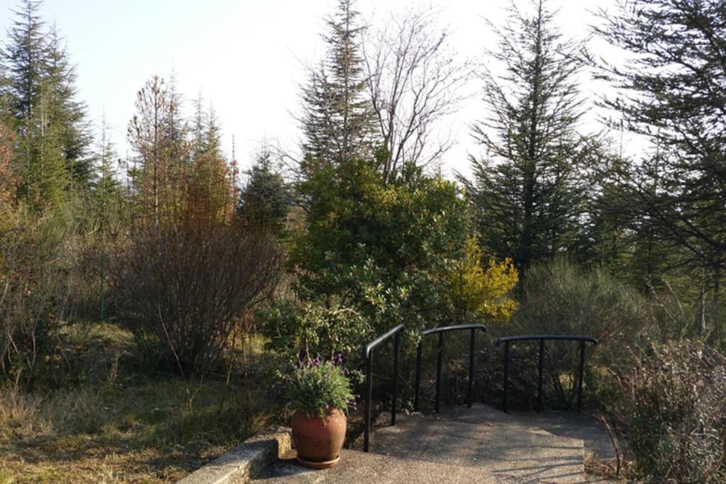 Villa La Lurette, Appartement Et Studio Saint-Etienne-les-Orgues Bagian luar foto