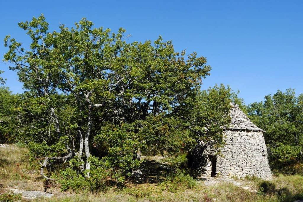 Villa La Lurette, Appartement Et Studio Saint-Etienne-les-Orgues Bagian luar foto